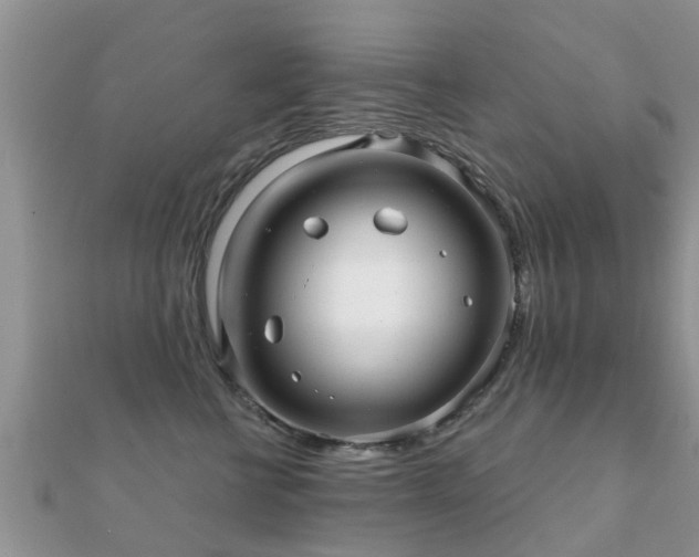 X0000112060570200908111414