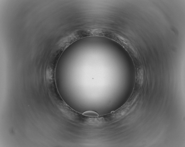 X0000112060571200908111414