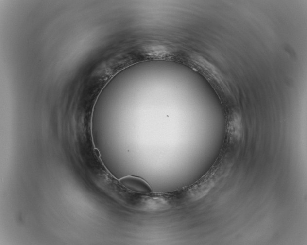 X0000112060572200908111414