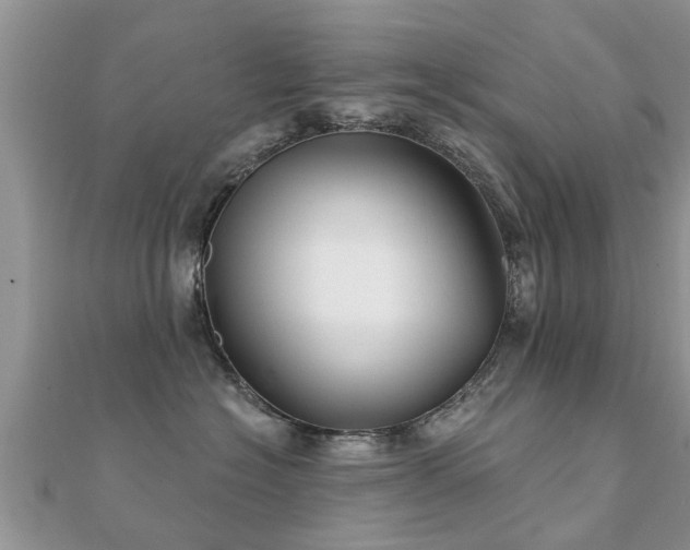 X0000112060574200908111414