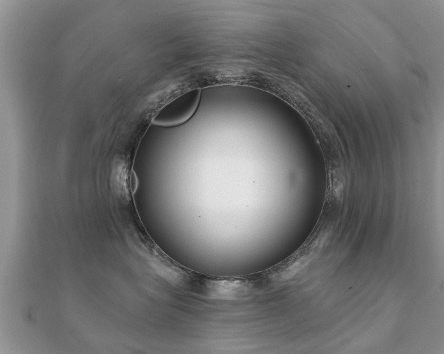X0000112060575200908111414