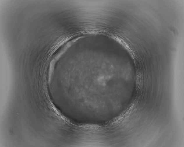 X0000112060577200908111414