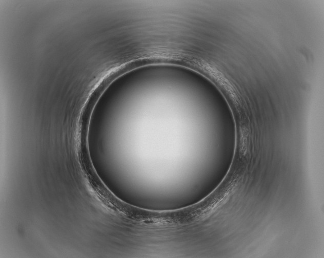 X0000112060580200908111414