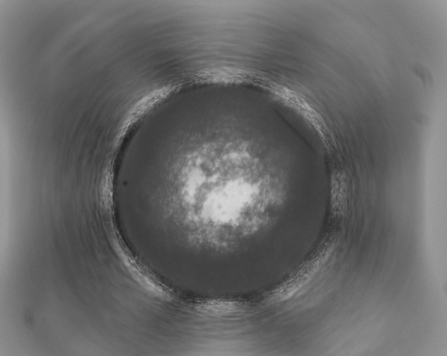 X0000112060581200908111414