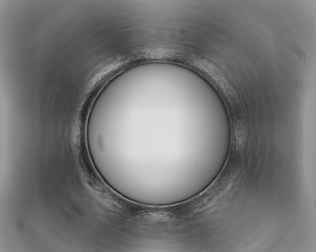 X0000112060583200908111414