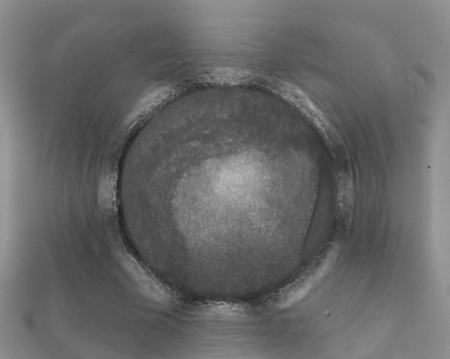 X0000112060585200908111414
