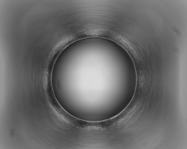 X0000112060586200908111414