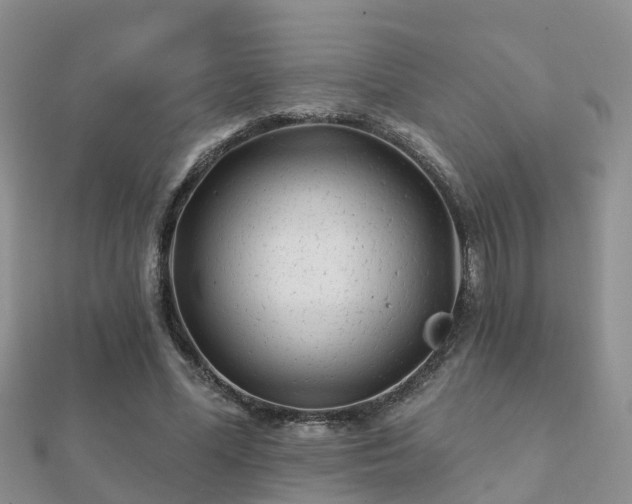 X0000112060588200908111414