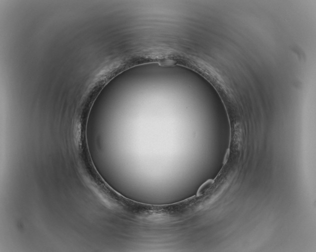 X0000112060589200908111414