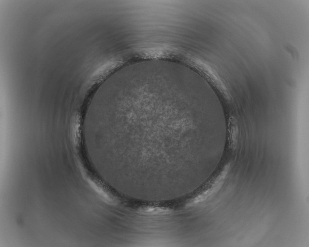 X0000112060590200908111414