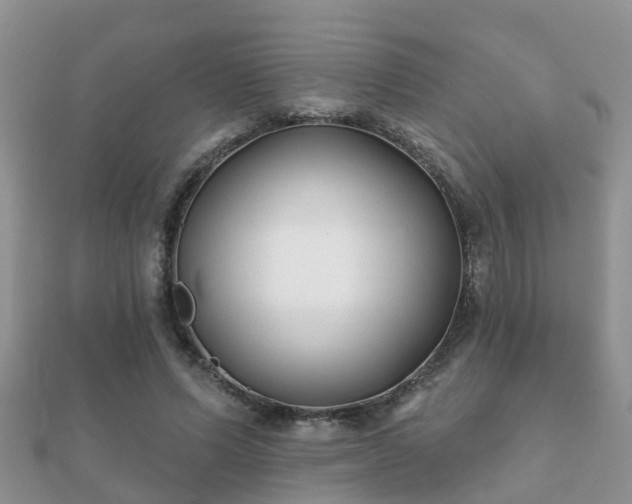 X0000112060591200908111414