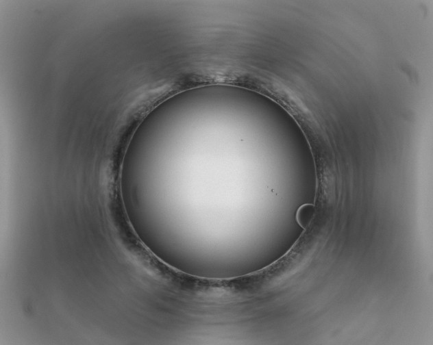 X0000112060594200908111414