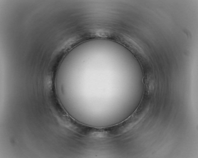 X0000112060595200908111414
