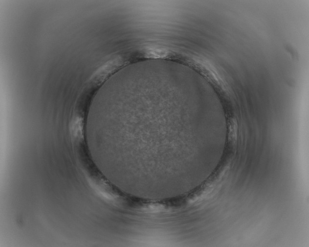 X0000112060598200908111414