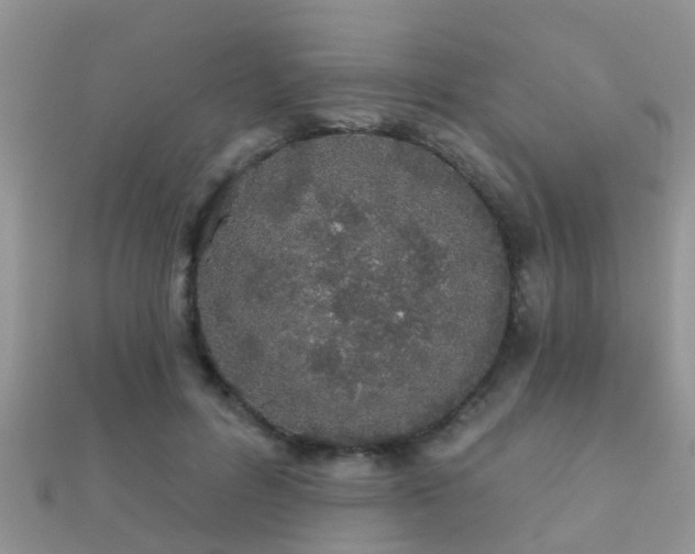 X0000112060600200908111414
