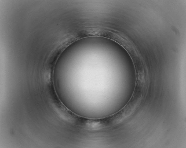 X0000112060602200908111414