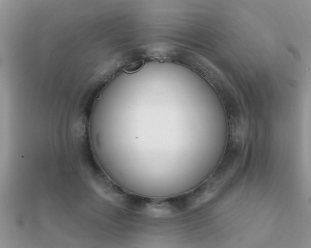 X0000112060603200908111414