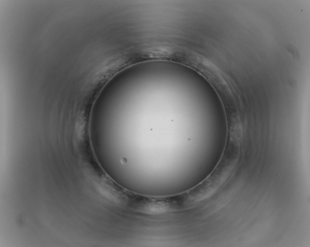 X0000112060604200908111413
