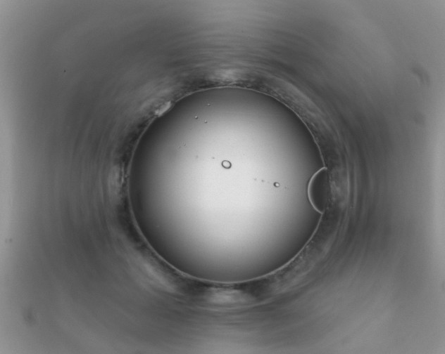 X0000112060605200908111413