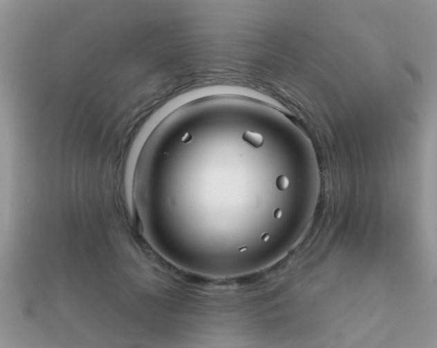 X0000112060606200908111413