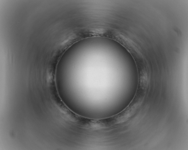 X0000112060608200908111413