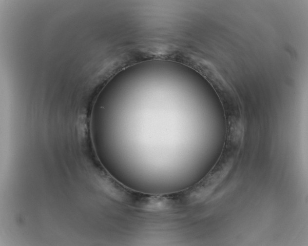 X0000112060612200908111413
