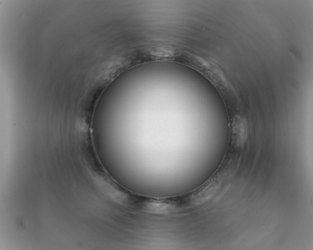 X0000112060614200908111413