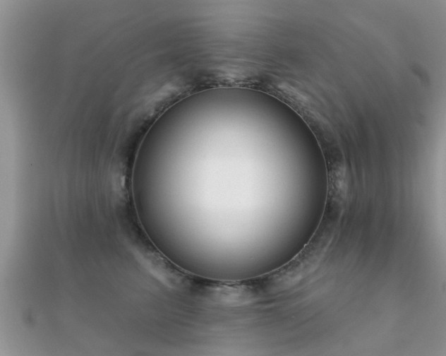 X0000112060615200908111413