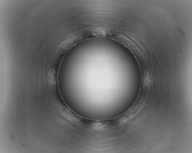 X0000112060616200908111413