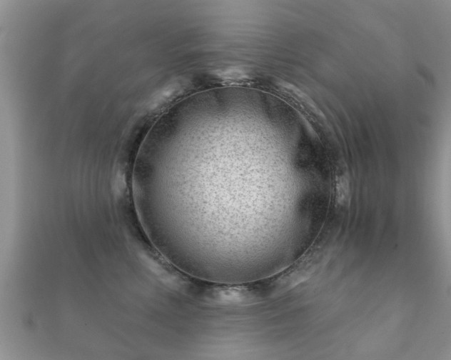 X0000112060618200908111413