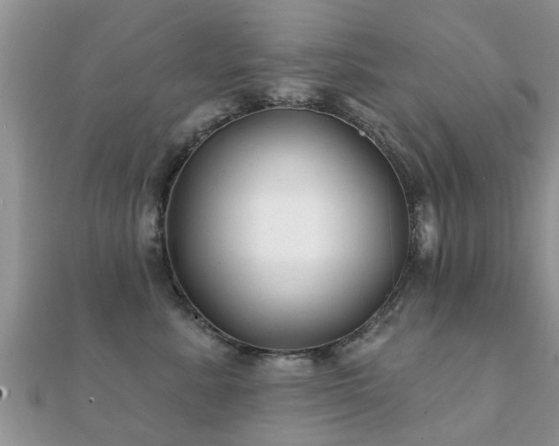 X0000112060619200908111413