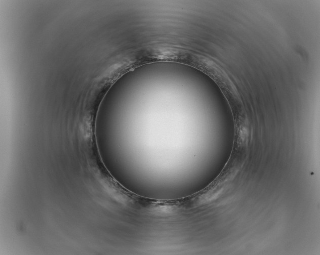 X0000112060620200908111413