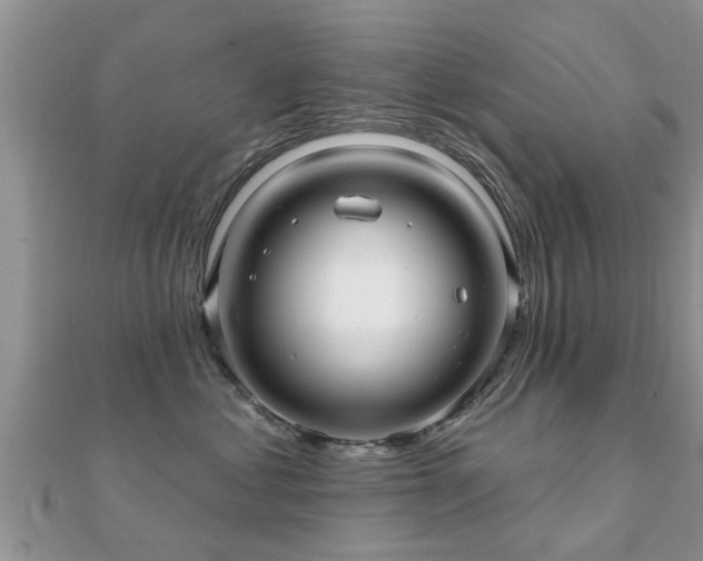 X0000112060621200908111413