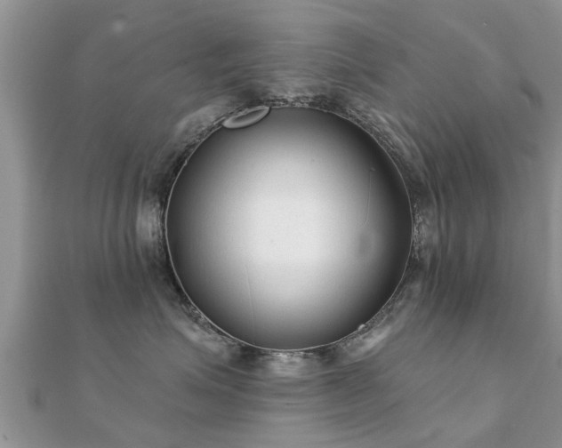 X0000112060623200908111413