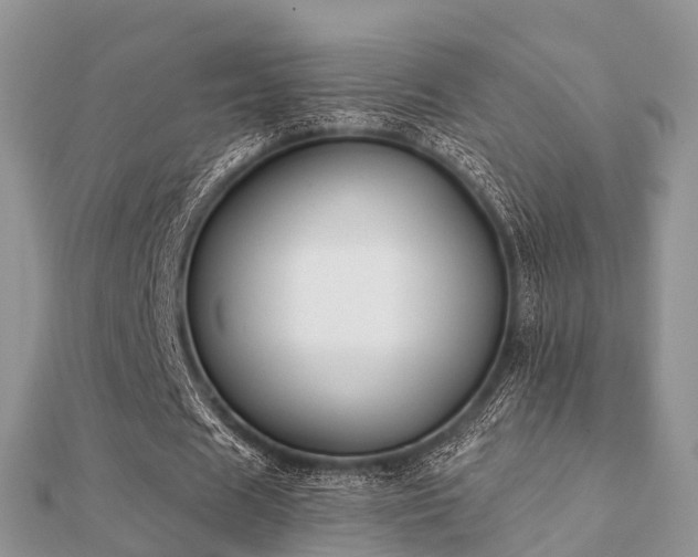 X0000112060625200908111412