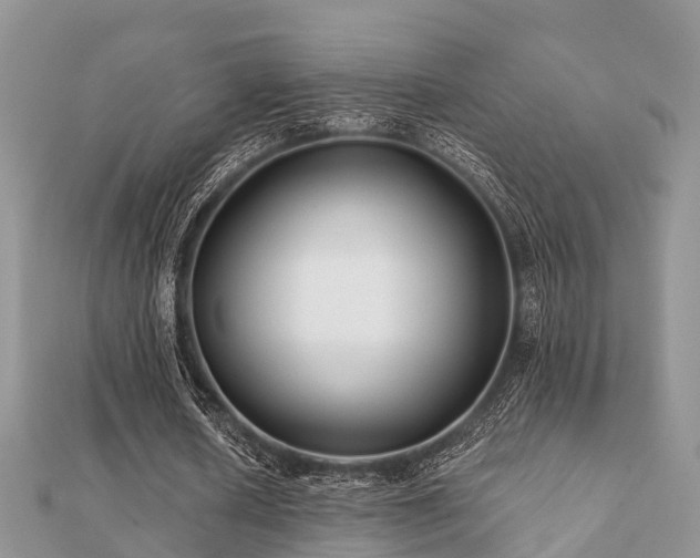 X0000112060626200908111412