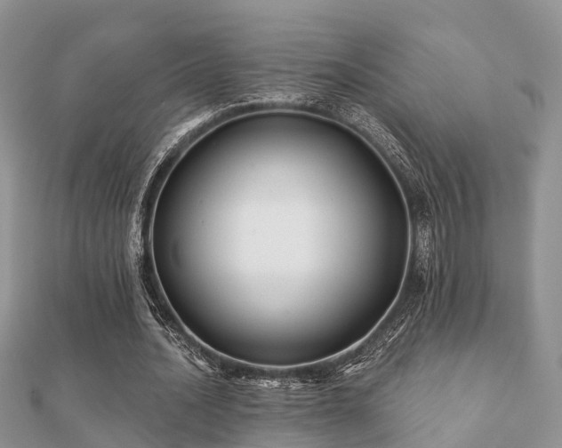 X0000112060628200908111412