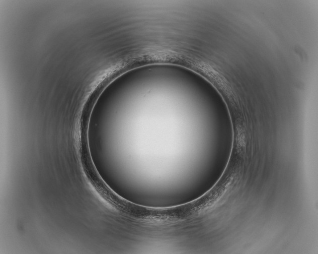 X0000112060630200908111413