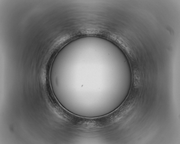 X0000112060631200908111413