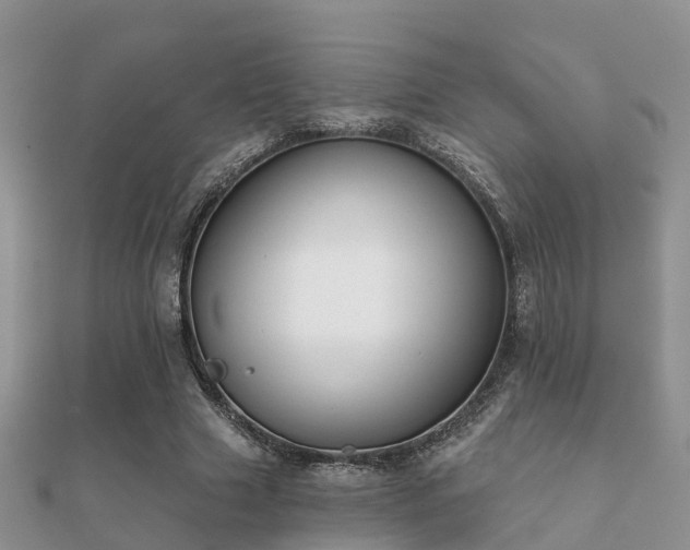 X0000112060633200908111413