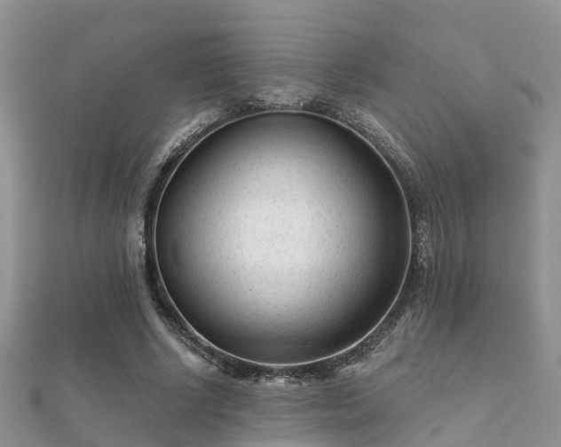 X0000112060634200908111413