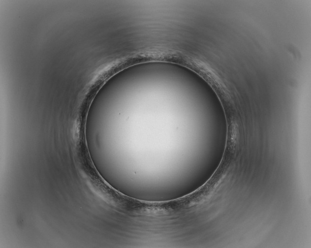X0000112060636200908111413