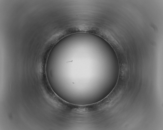 X0000112060639200908111413