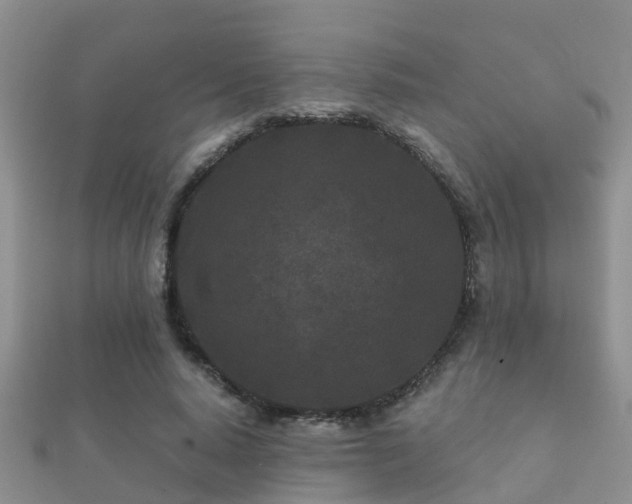 X0000112060640200908111413