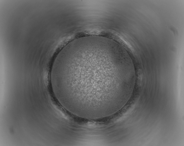 X0000112060641200908111413