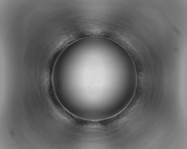 X0000112060642200908111413