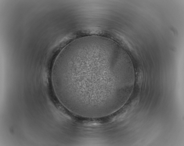 X0000112060643200908111413