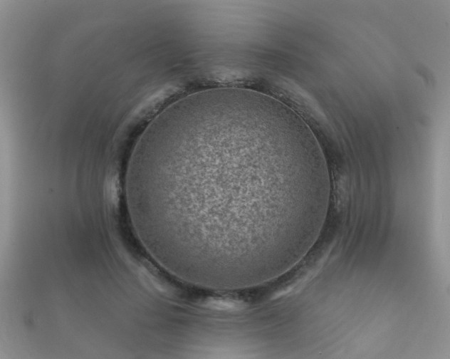 X0000112060644200908111413