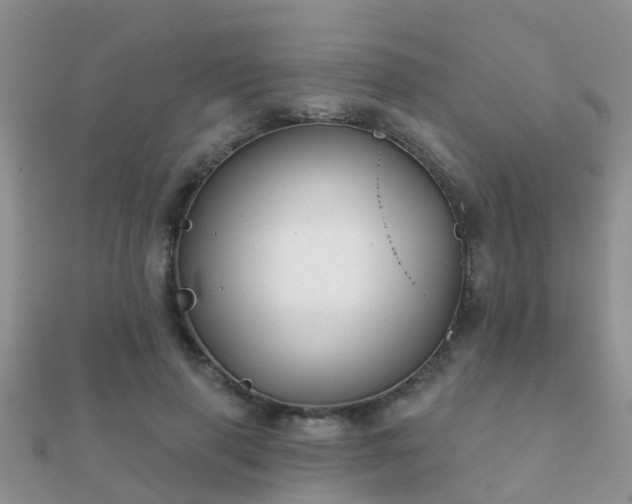 X0000112060645200908111413