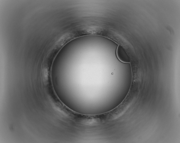 X0000112060646200908111413